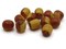 12 12mm x 10mm Tan and Brown Vintage Lucite Barrel Two Tone Plastic Beads